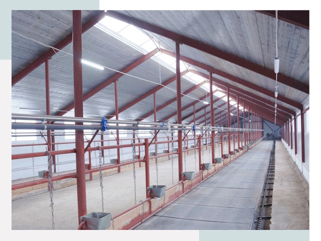 Строительство коровников в Ярославле от 616 руб.