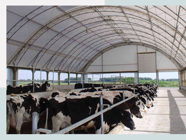 Тентовые коровники в Ярославле